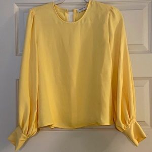 Aritzia Babaton blouse